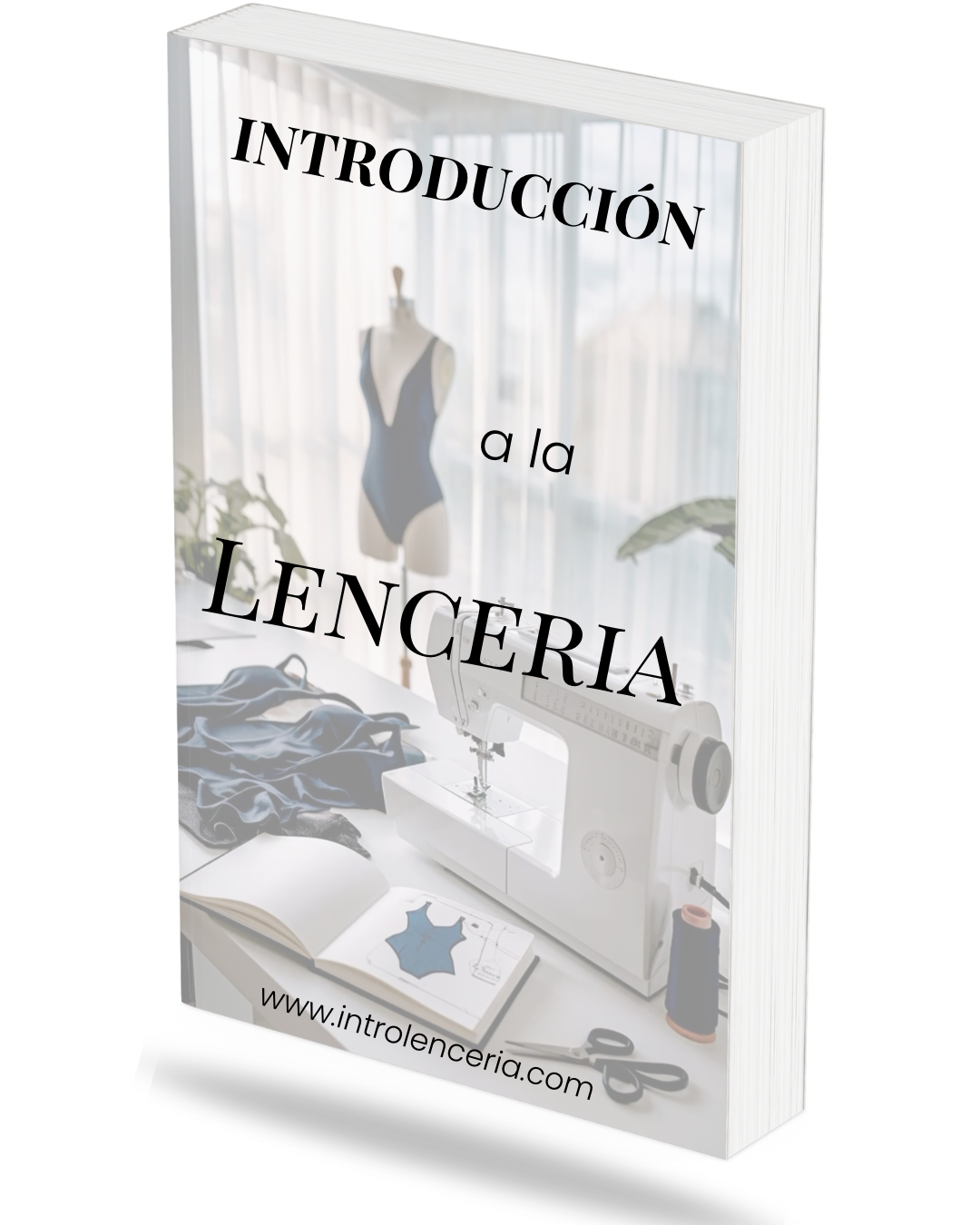 Introducción a la Lencería